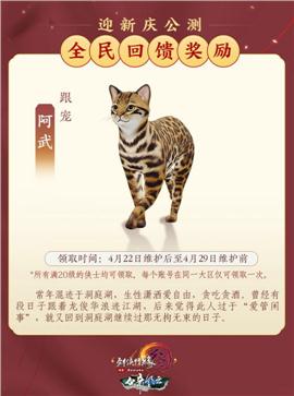 龙天龙八部私服